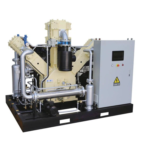 Professional Low Noise Oil Free Piston Air Compressor Hot Selling Products